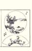 photo28_small.jpg