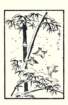photo14_small.jpg