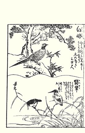 photo23.jpg