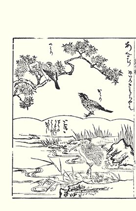 photo27.jpg