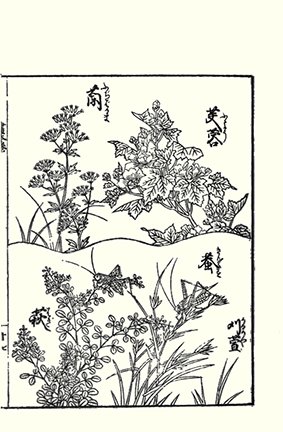photo66.jpg