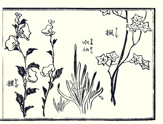 photo19.jpg