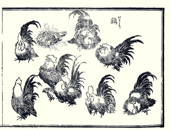 photo21.jpg