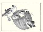 photo4_small.jpg