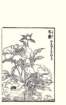 photo15_small.jpg