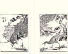 photo2_small.jpg
