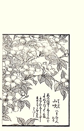 photo7.jpg