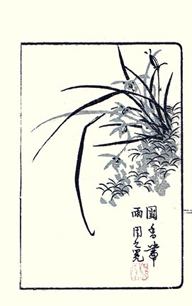 photo19.jpg