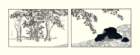 photo12_small.jpg