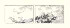 photo3_small.jpg