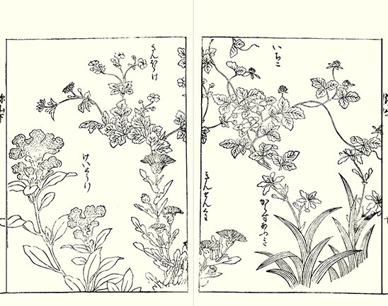 photo27.jpg