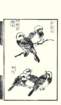 photo13_small.jpg