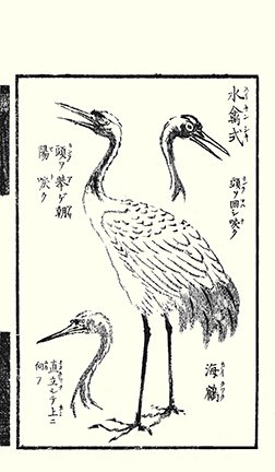 photo19.jpg