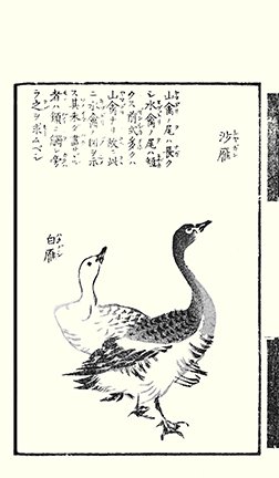 photo24.jpg
