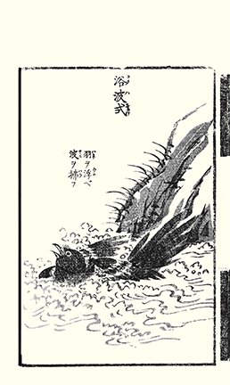 photo26.jpg