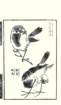 photo9_small.jpg