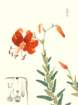 photo15_small.jpg
