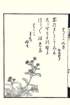 photo17_small.jpg