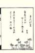 photo18_small.jpg