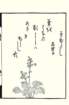 photo28_small.jpg