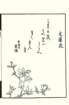 photo40_small.jpg