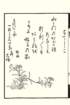 photo47_small.jpg