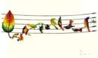 photo74_small.jpg
