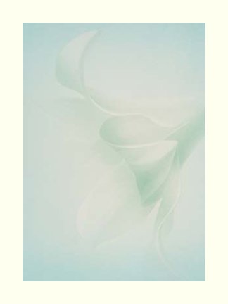 photo22.jpg