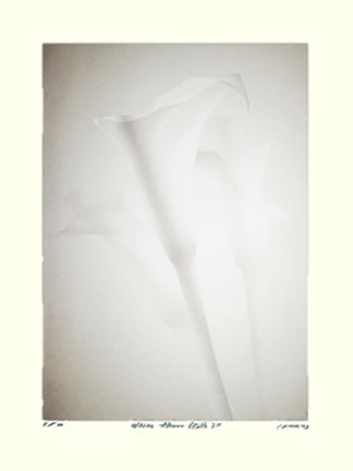 photo9.jpg