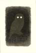photo15_small.jpg