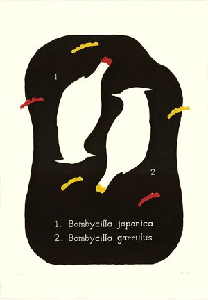 photo9.jpg