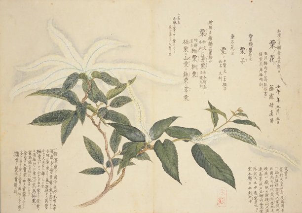 photo21.jpg