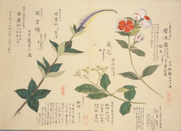 photo26.jpg