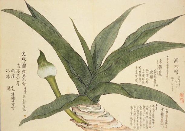 photo35.jpg