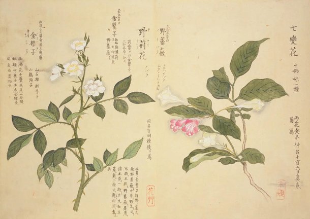 photo46.jpg
