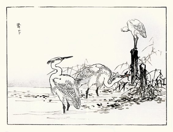 photo35.jpg