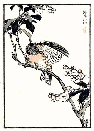 photo24.jpg
