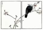 photo100_small.jpg