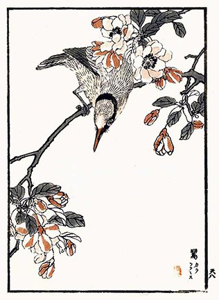 photo14.jpg