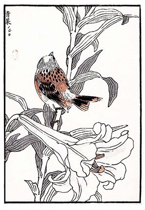 photo33.jpg