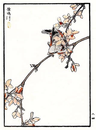 photo76.jpg
