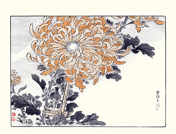 photo37.jpg