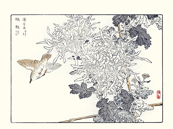 photo40.jpg