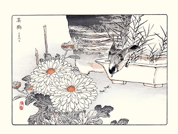 photo44.jpg