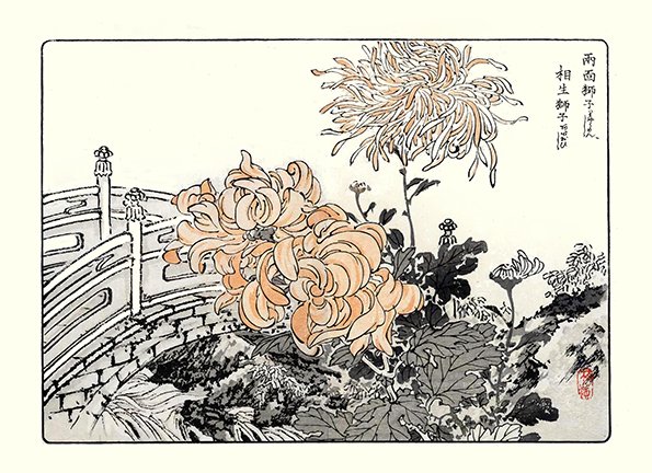 photo58.jpg