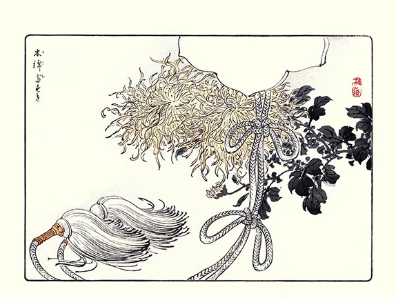 photo7.jpg