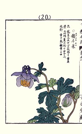photo20.jpg