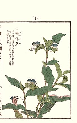 photo140.jpg