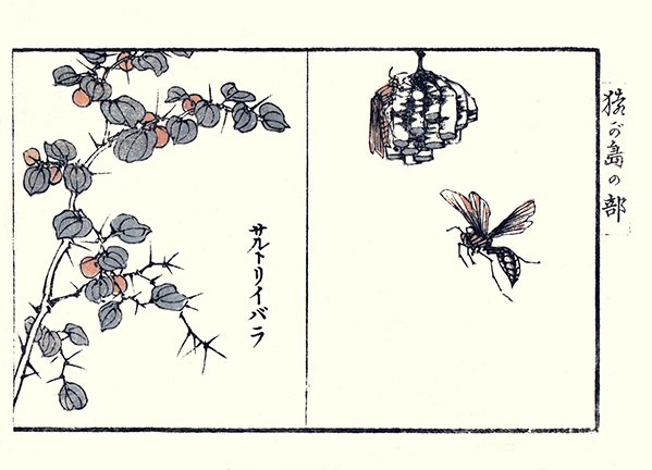 photo7.jpg