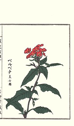 photo106.jpg